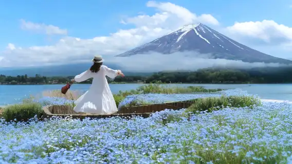 【富士山六大景點賞楓一日遊】河口湖·山中湖·羅森·日川時計店