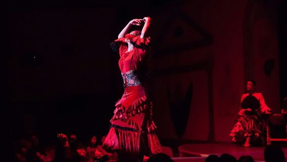 El Palacio Andaluz Seville: Solo Flamenco
