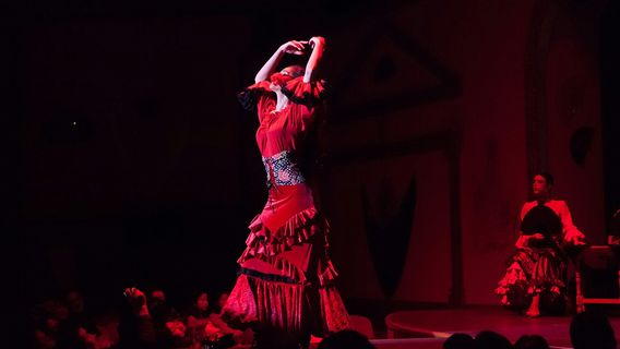 Jerez de la FronteraExperiences