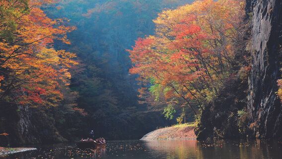 仙台紅葉 | Geibikei