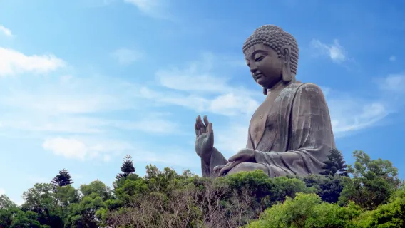 Excursión de un día a la Isla Lantau en Hong Kong [Teleférico Ngong Ping 360 + Gran Buda + Aldea pesquera de Tai O + Delfines]