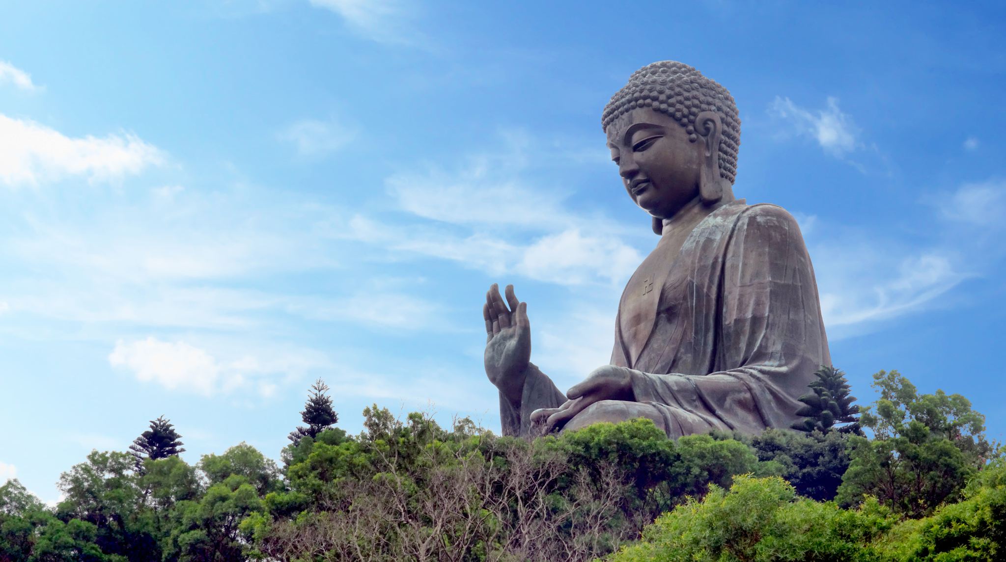 tour di un giorno a Hong Kong sull'Isola di Lantau [funivia Ngong Ping 360 + Grande Buddha + villaggio di pescatori di Tai O + delfini]