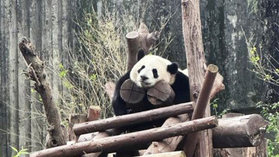 GuanghanTours
