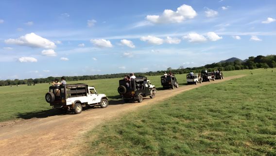 Parc forestier de Mirnyaya au Sri Lanka|Safari Jeep + Observation de la faune et