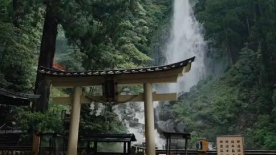 日本大阪+和歌山白濱溫泉+千疊敷一日遊/行程可調-可客製化多日