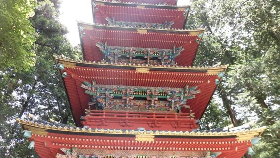 Tokyo: tour del Santuario Nikko Toshogu e della cascata Kegon