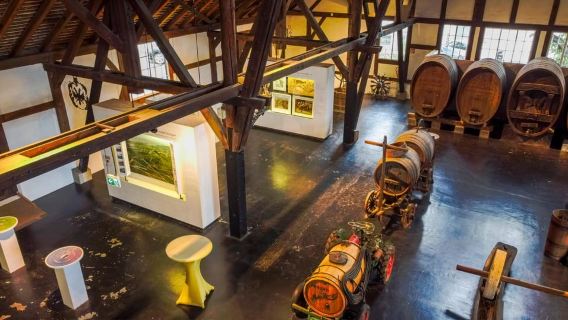 Stuttgart: Stuttgart Wine Museum Wine Tasting