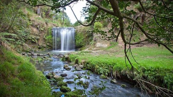 Tour Thác nước Auckland