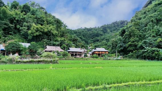 Pu Luong: Off-Road Trekking and Waterfall Tour with Lunch