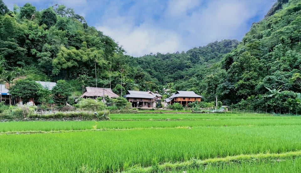 Pu Luong: Offroad-Trekking- und Wasserfalltour mit Mittagessen