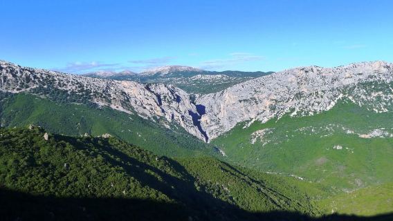 From Orosei or Dorgali: Trek to Gorropu with Panoramic Views