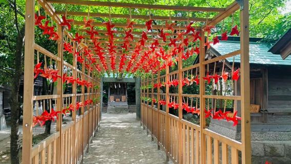 Fukuoka: Customized Private Tour