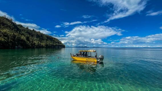 Crociera turistica Lake Taupo Explorer con nuotata stagionale