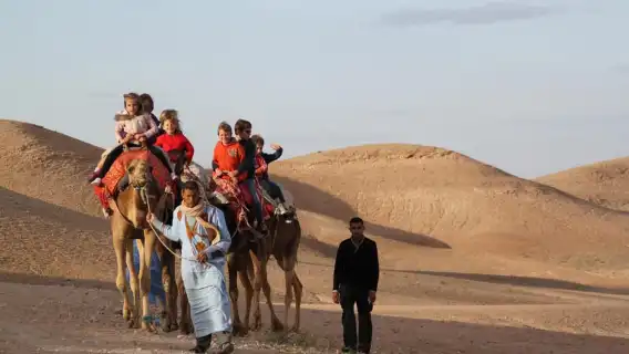 Marrakesh: Agafay Desert Sunset, Camel Ride, and Dinner Show