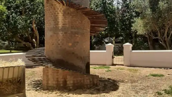 ทัวร์ส่วนตัวพบปะกับเสือชีตาห์และชิมไวน์