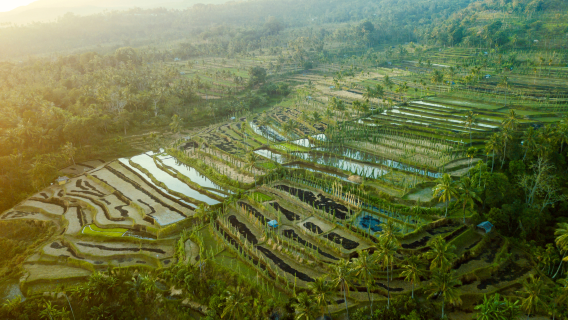 Tour in bicicletta sulle colline di Lombok (discesa dalle colline di Tete Batu, esperienza nelle risaie - senza pranzo)