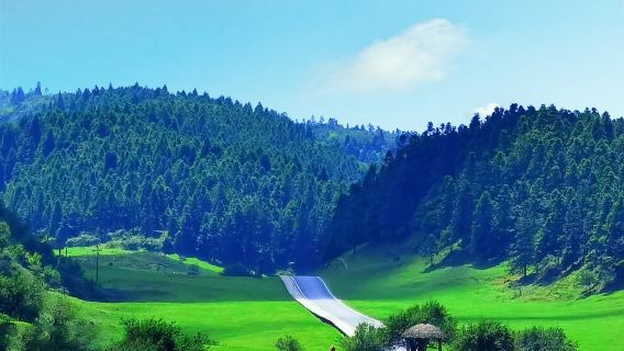 1-day tour of Chongqing's Three Natural Bridges + Fairy Mountain + Wujiang Gallery with 8-person private group and door-to-door pickup