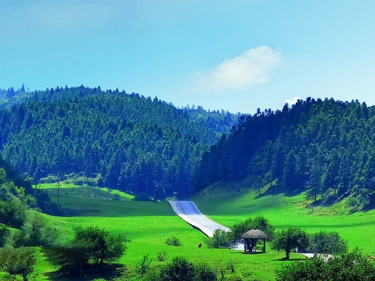 1-day tour of Chongqing's Three Natural Bridges + Fairy Mountain + Wujiang Gallery with 8-person private group and door-to-door pickup