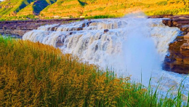 純玩【2至6人團】南泥灣+陜西黃河壺口瀑布+黃帝陵一日遊