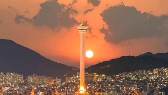 Tour 1 ngày khám phá Busan kinh điển (tour ghép) | Có thể chọn hướng dẫn viên tiếng Trung/Anh + nhiều địa điểm hẹn gặp tùy chọn