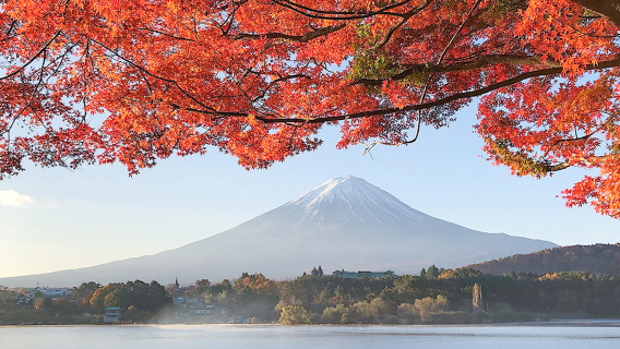 perjalanan satu hari ke Gunung Fuji, Danau Kawaguchi, Danau Yamanaka, dan Lawson/Hikkawa dari Tokyo, Jepang | Pemandangan Panorama bersama Selebriti Populer