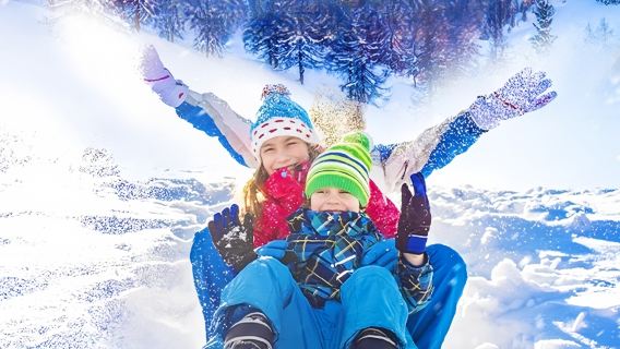 中國雪鄉1日遊【8人純玩小團〓贈送晚餐+馴鹿園〓上門接送】