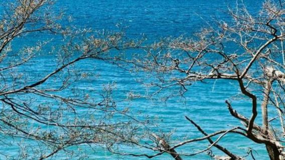 日本小樽/旭川/美瑛/富良野/洞爺湖/登別-札幌來回任選一日