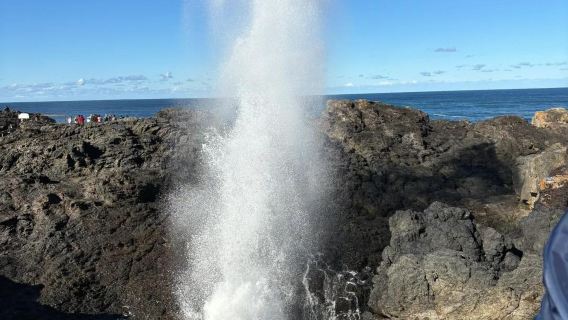 澳洲悉尼+凱阿馬噴水洞+傑維斯灣一日來回【中文專車】