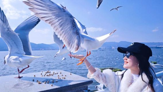 【厳選プラン】昆明滇池+西山+民族村ワンデーツアー|オプションの独立貸切チャーター