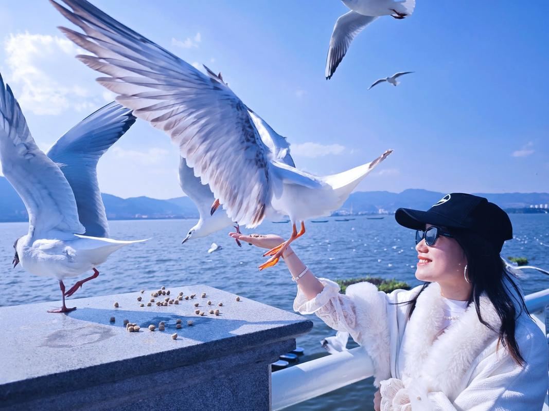 [Premium Pure Play] Kunming Dianchi Lake + Western Hills + Ethnic Village 1-day tour|Optional private charter