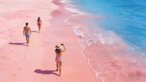 Komodo Day Tour in Indonesia: Pink Beach, Komodo Dragons, Speedboating, Diving with Manta Rays, and Bats