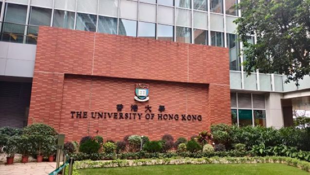 홍콩 대학 반나절 데이투어 [독립 단체, 예약 불필요] 캠퍼스 실경 해설+유학 경험 공유+전공 방향 분석+1:1 문의 응답 몰입형 체험