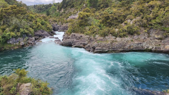 紐西蘭奧克蘭-派希亞+島嶼灣可定制【中文專車-愜意舒適】