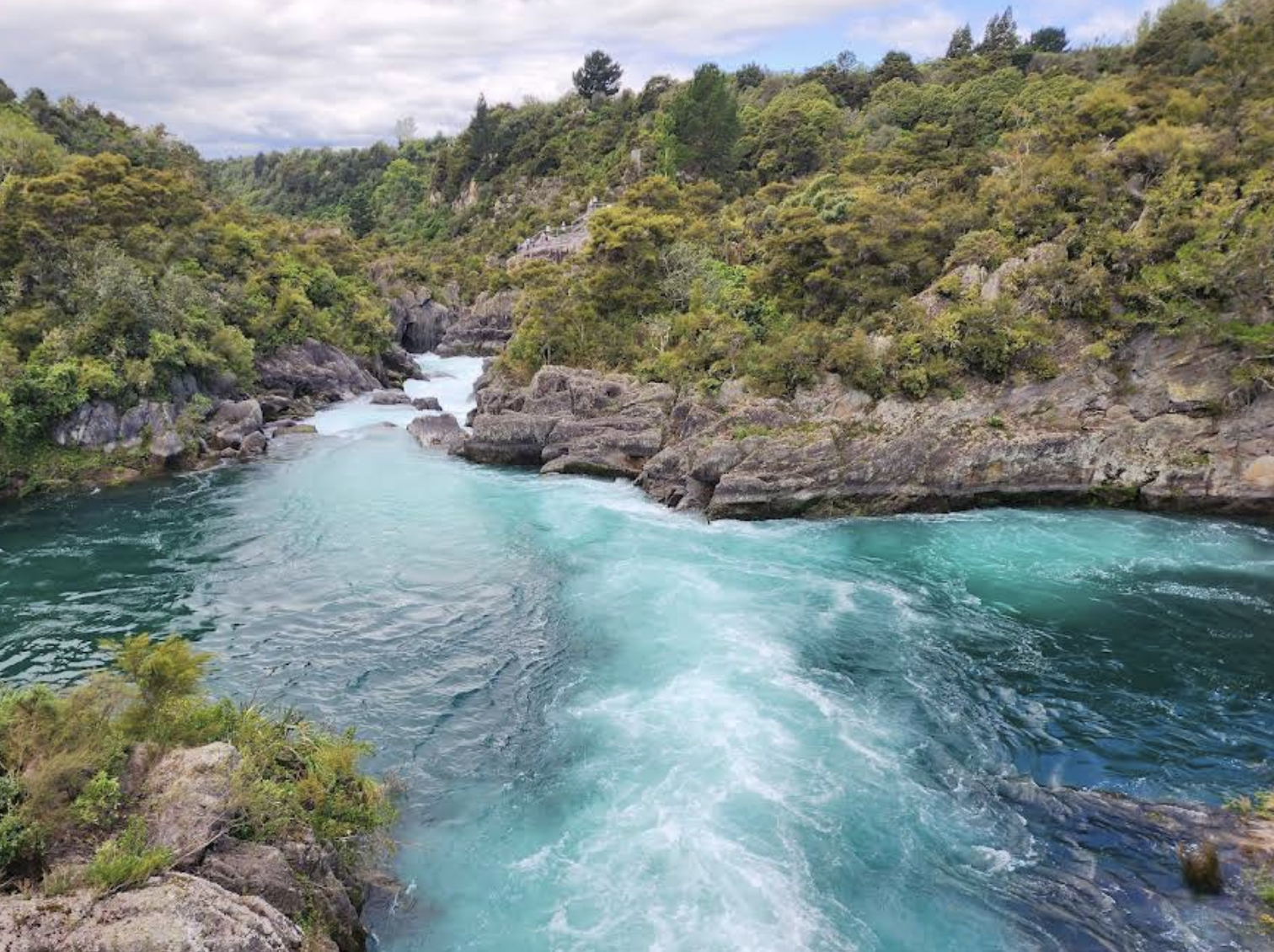 紐西蘭奧克蘭-派希亞+島嶼灣可定制【中文專車-愜意舒適】