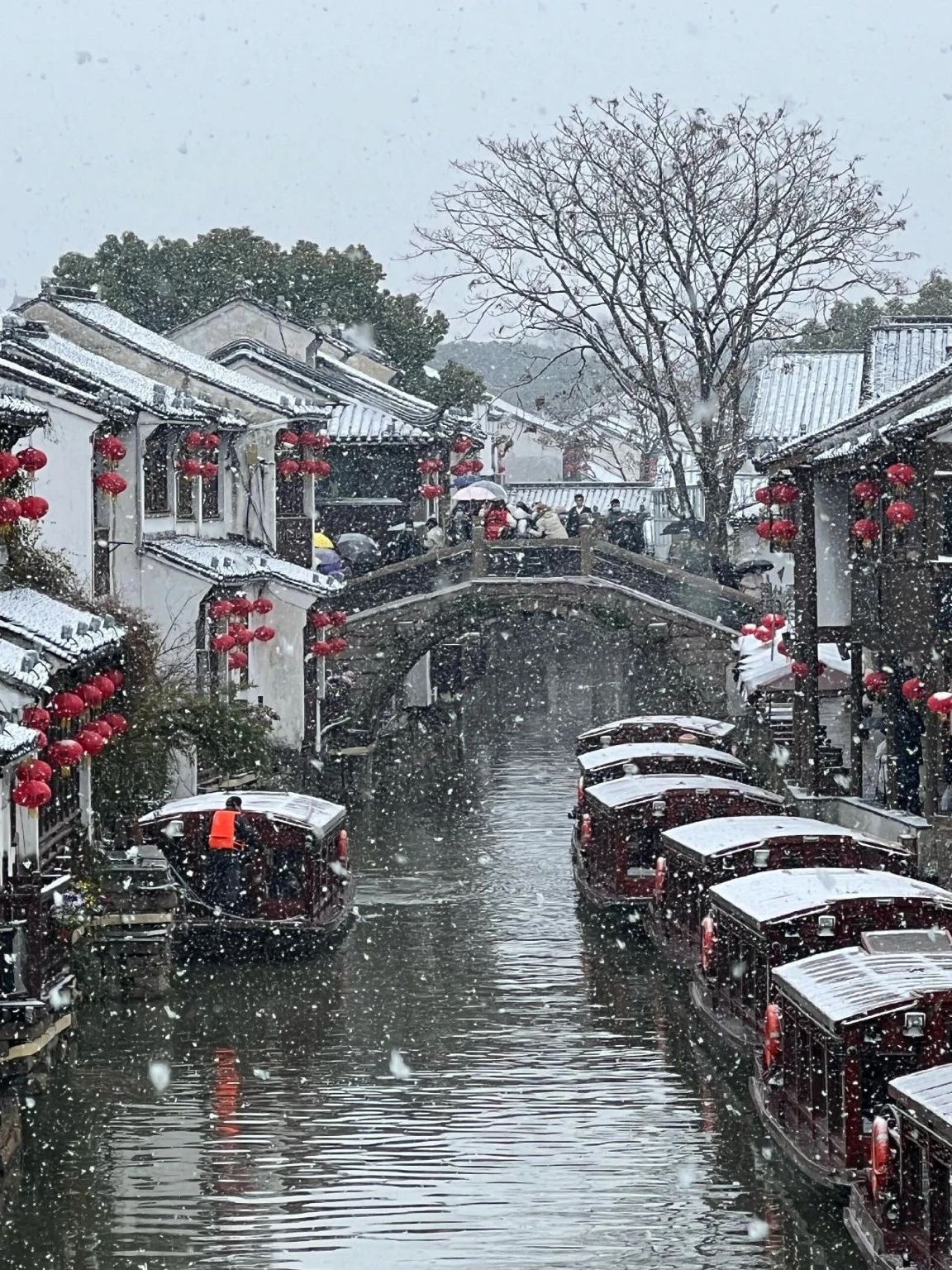 Live guide services for individual attractions including Lingering Garden(Liuyuan Garden), Hanshan Temple, Surging Waves Pavilion(Canglang Pavilion), and Master-of-Nets Garden(Wangshi Garden) (Slow down and explore the ancient city of Suzhou)