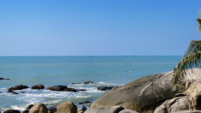 海南熱帶野生動植物園5座7座可選【1單1團·純玩·中文專車】