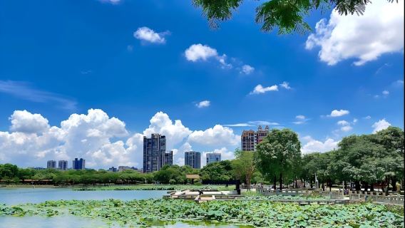 Guangzhou: Eendaagse culinaire reis naar Shunde (inclusief lunch en gids)