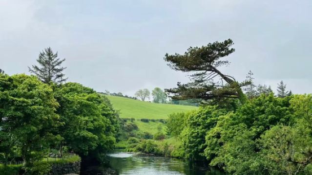 愛爾蘭都柏林 健力士啤酒展覽館【中文司機 可訂全境包車】