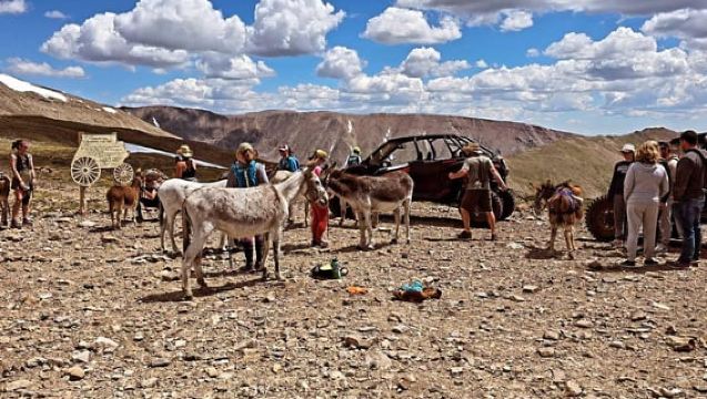 Leadville: Guided UTV Summer Tour