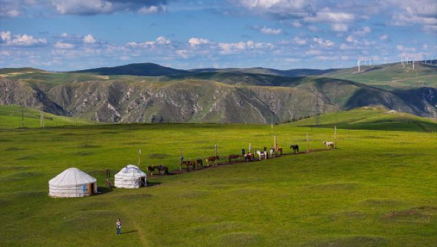 Hohhot: Custom 1-Day Tour to Huitengxile Grassland & Wulanhada Volcano Geopark with Private Charter