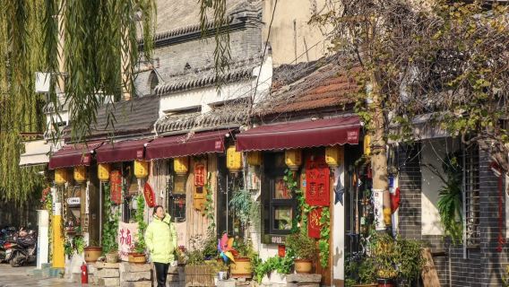 Jinan provincial museum + Qianfo Mountain Scenic Area + Daming Lake Scenic Area + Baotu Spring (private tours with licensed guide)