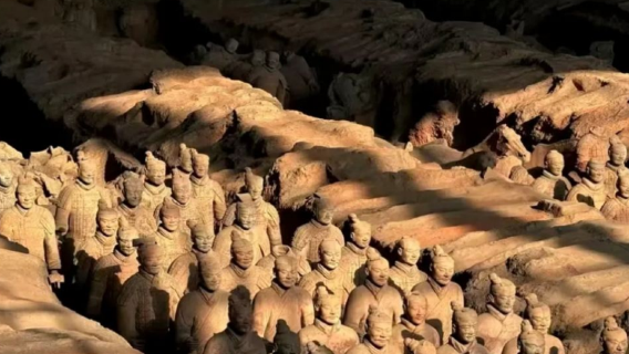 Xi'an emperor Qinshihuang's mausoleum site museum + Huaqing palace small group English 1-day tour