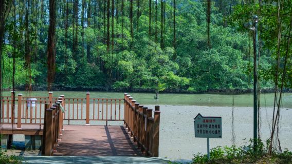 Lawatan Sehari di Jiangmen | Jalan Tiga Puluh Tiga Xu + Syurga Burung + Kampung Chenpi + Sewaan Peribadi Eksklusif dengan Pengangkutan Pintu ke Pintu