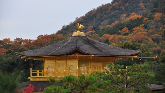 日本大阪來回京都+嵐山+三千院+金閣寺【中文包車上門接】