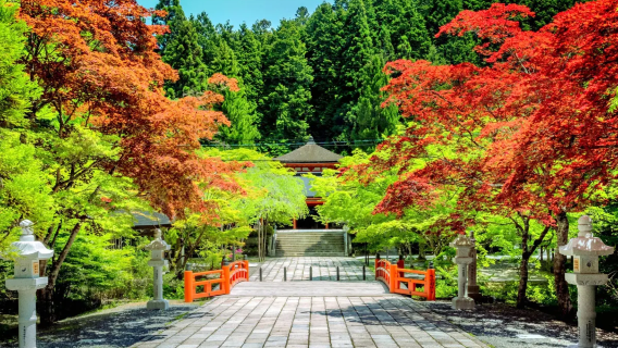 Kansai Osaka area: Mount Koya private charter 1-day tour, multilingual driver door-to-door pick-up & drop-off / adjustable itinerary
