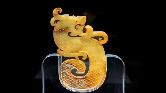 Muzium Xuzhou (termasuk tempahan masuk) penerangan berpandu selama 2 jam + fon kepala anti gangguan
