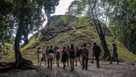 Tikal Ruins Guided Tour with Pickup