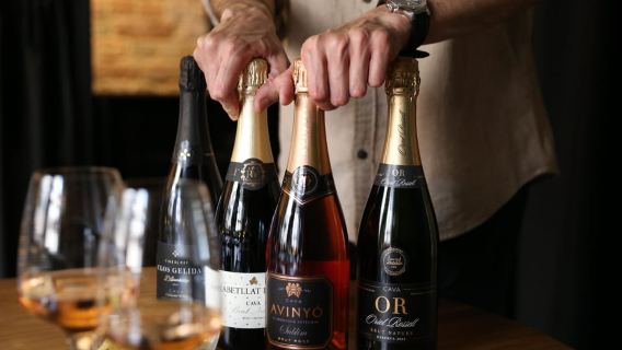 Cava Tasting in Riga with Catalan Wine Expert
