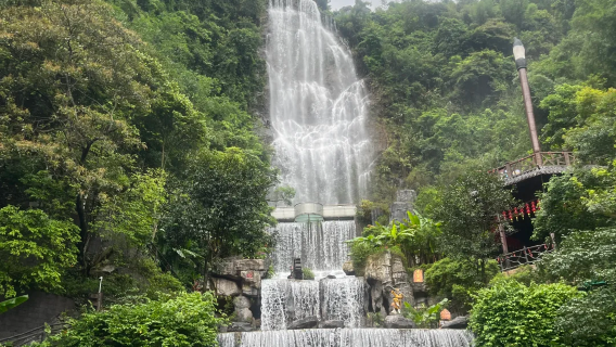 Qingyuan pakej persendirian sewaan peribadi sehari | Haiwan Chimelong + Bersiar-siar di Gunung Bijia, pengangkutan peribadi tanpa tergesa-gesa