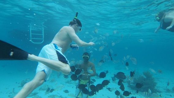 Grand CaymanTours